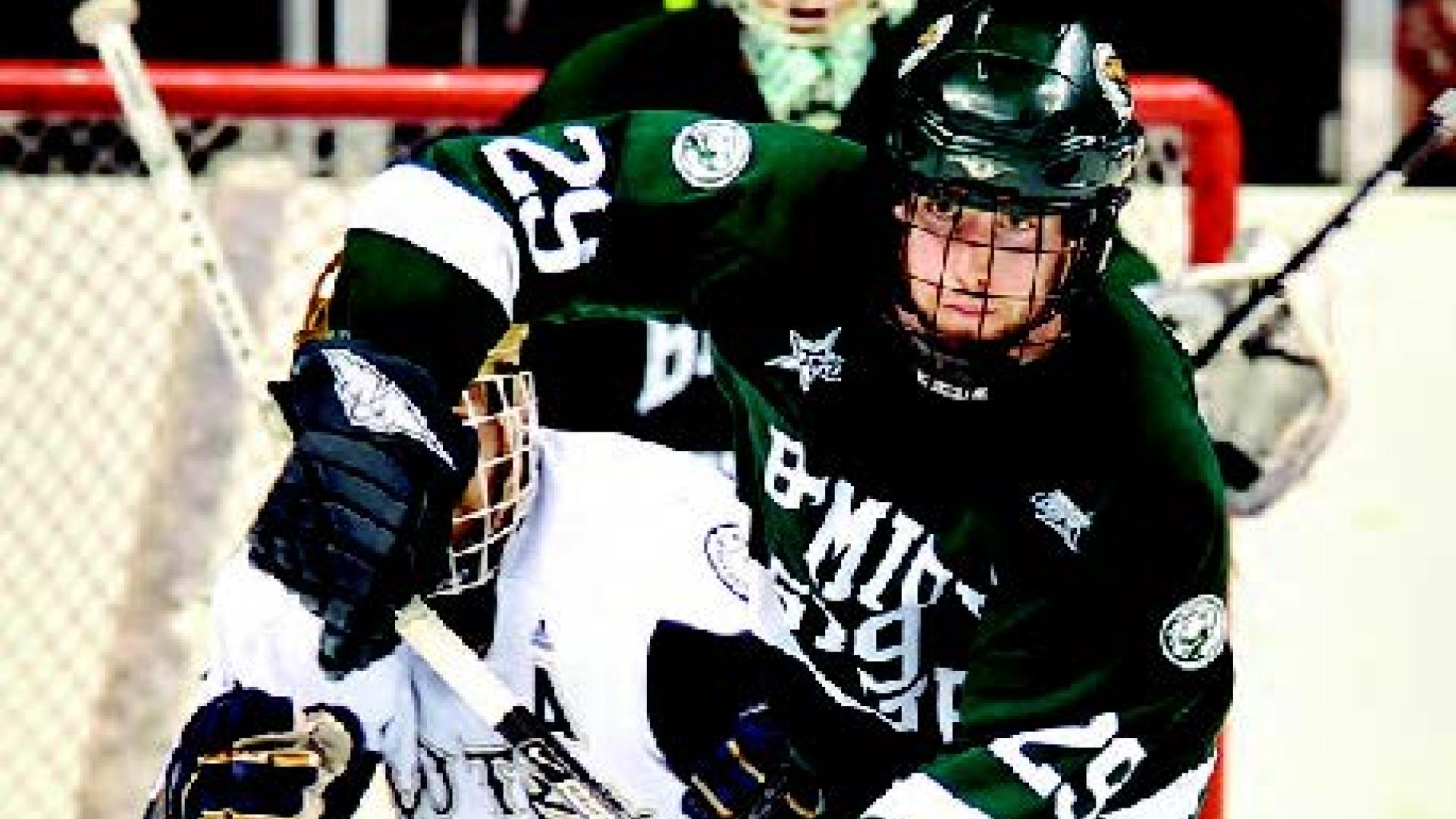 Brad Hunt plays a game of professional hockey.